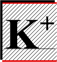 the K+logo